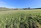 Additional image 10 of Land at Gin Clough, Rainow, Macclesfield