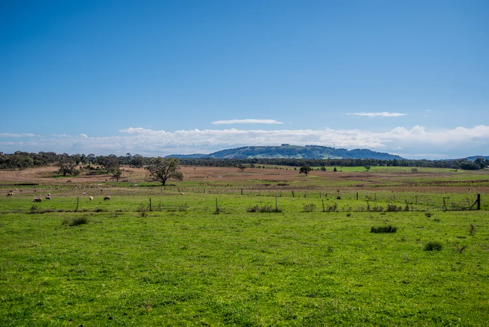 Additional image 7 of 2811 Bylong Valley Way, Rylstone NSW 2849