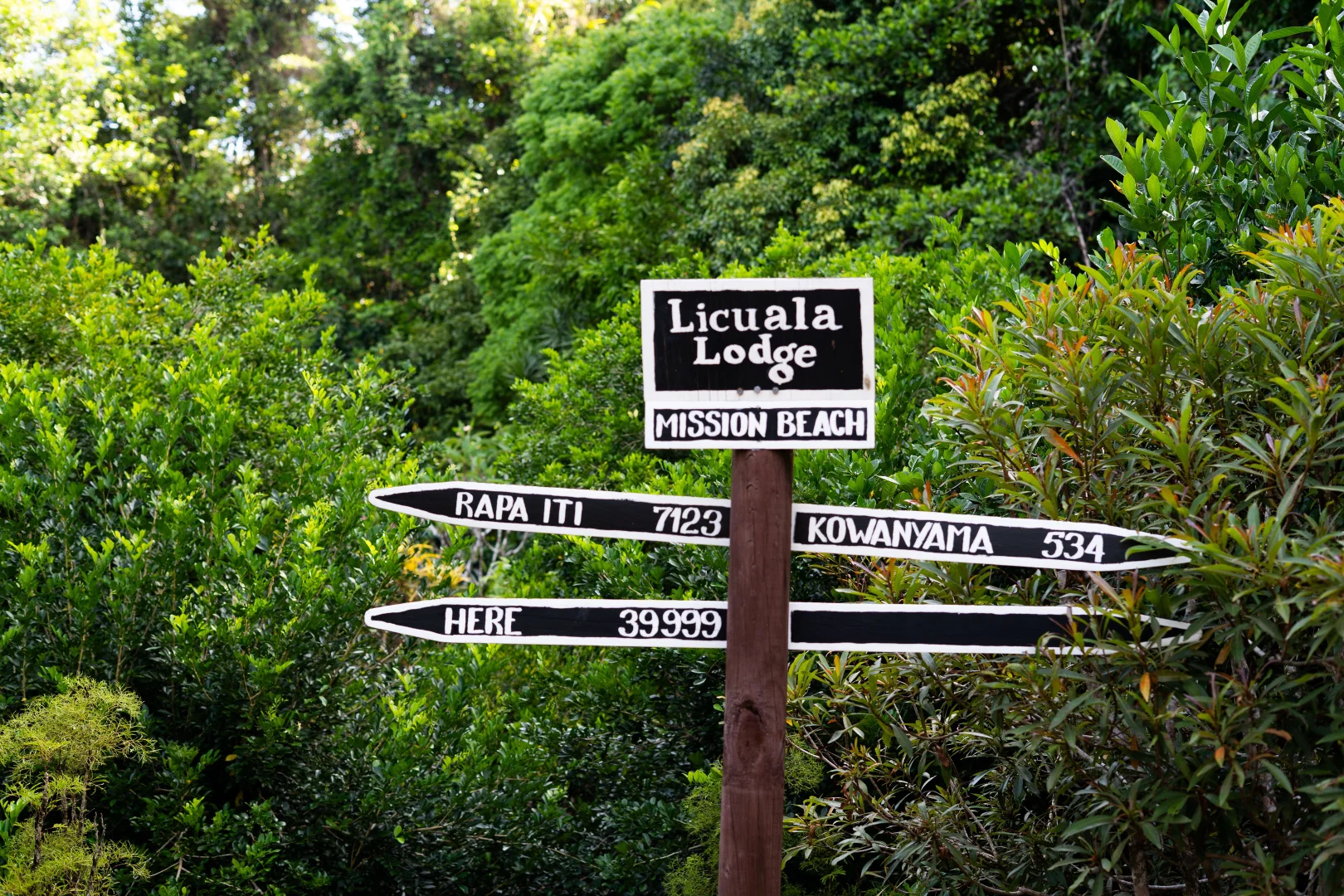 Additional image 38 of 11 Mission Cir, Wongaling Beach QLD 4852