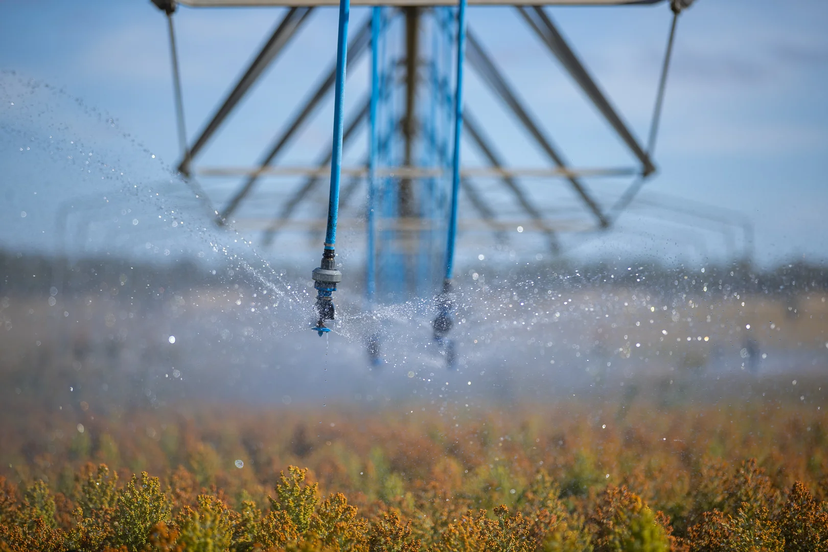 Additional image 31 of "Wanstead" 391 Cudmore Road, Cambooya QLD 4358