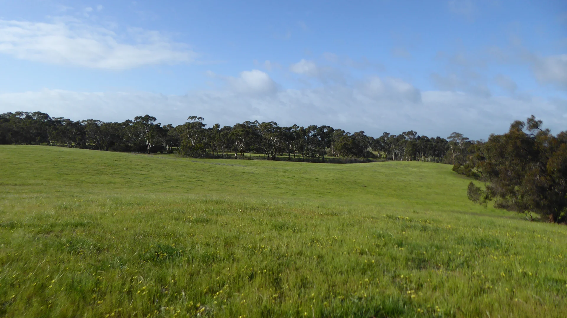 Additional image 9 of 2448 Bangham Road, Frances SA 5262