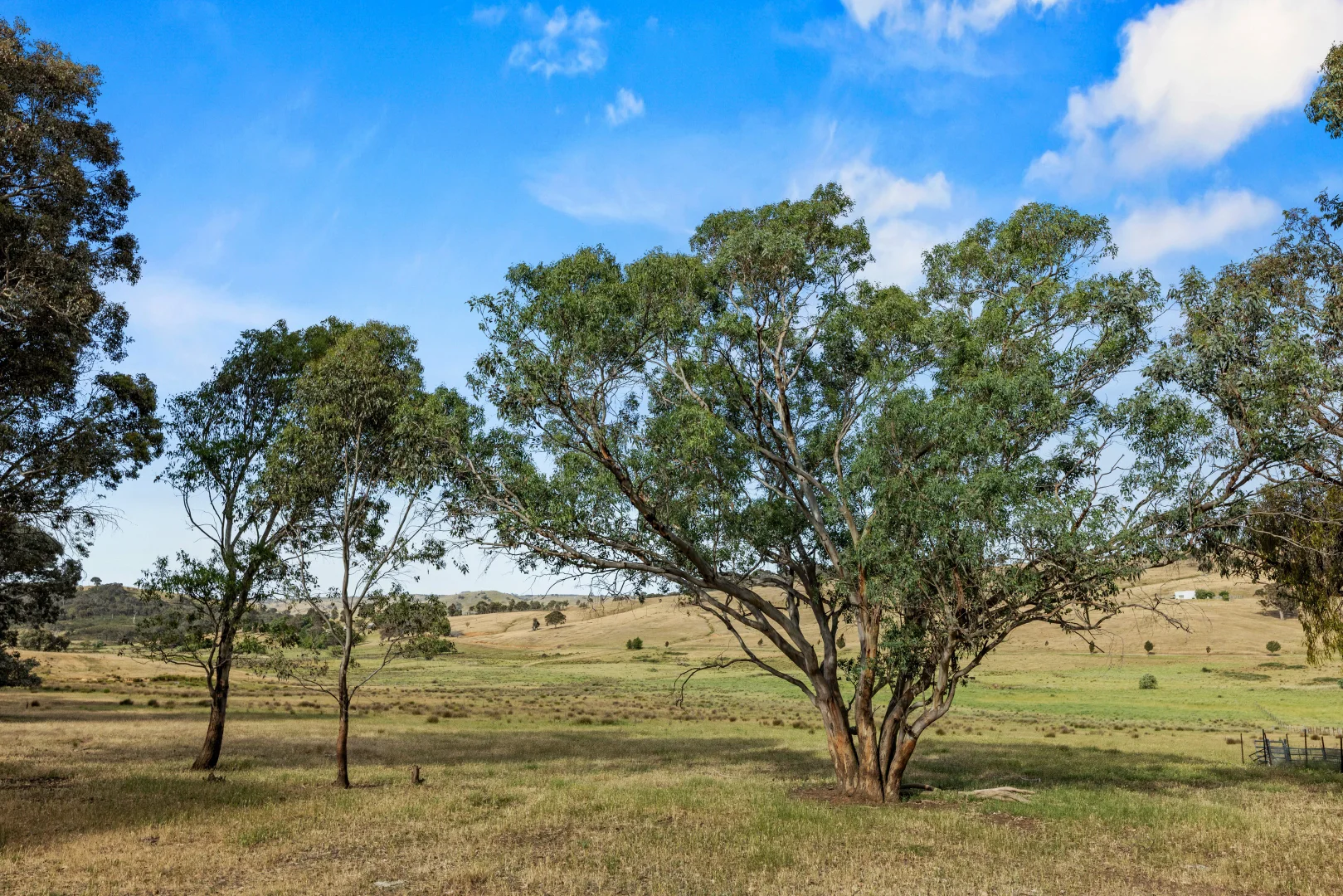 Additional image 29 of Lot 38 Gentle Destiny Road, Boorowa NSW 2586