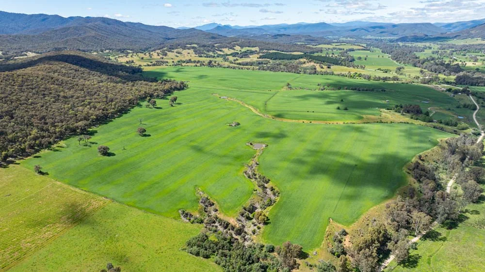 Additional image 4 of 1279 Edi-Cheshunt Road, Whitfield VIC 3733