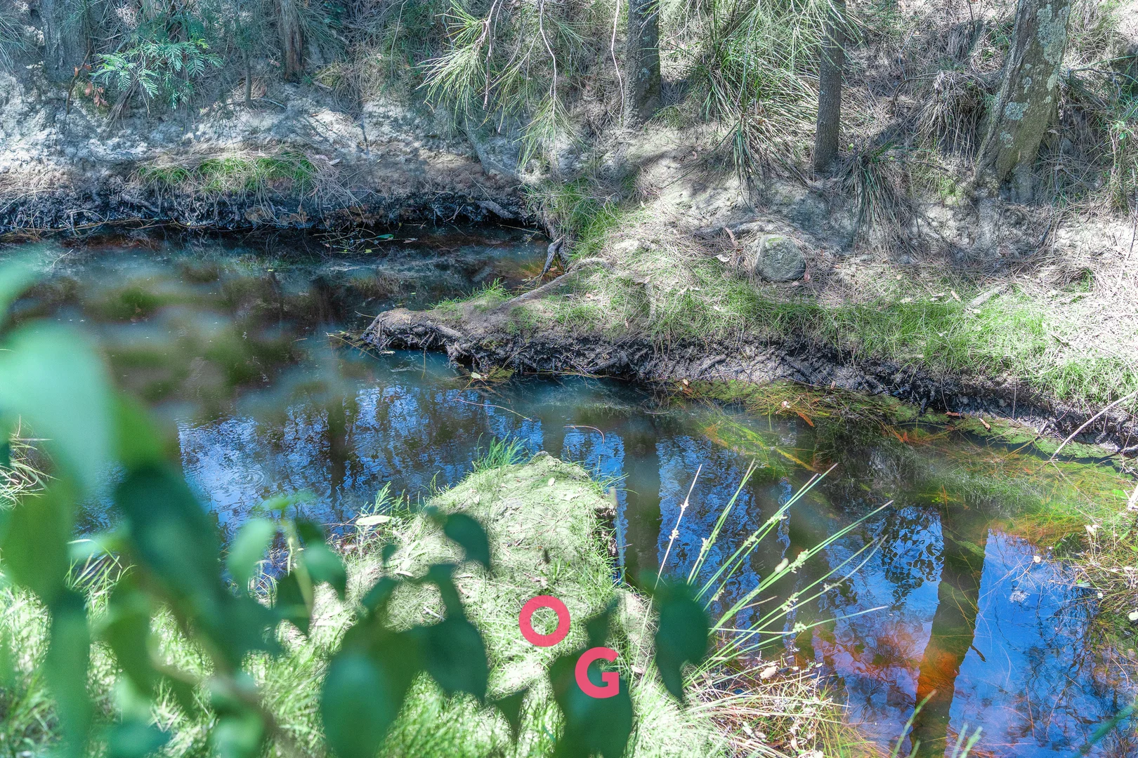 Additional image 39 of 5 Notts Lane, Glen Oak NSW 2320