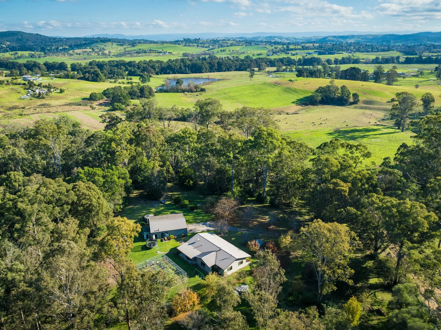 Additional image 21 of 277 Reedy Swamp Road, Bega NSW 2550