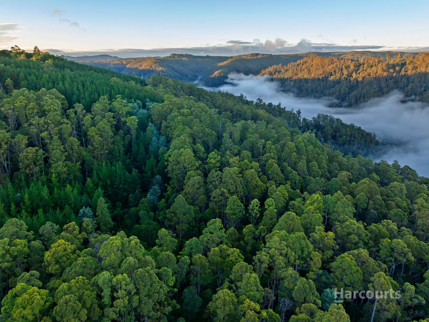 Additional image 6 of 654 West Calder Road, Calder TAS 7325