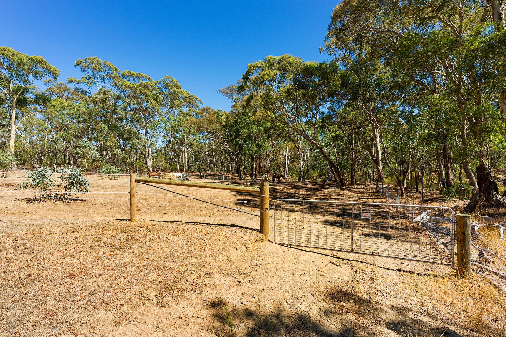 Additional image 4 of 207 Blakeley Road, Barkers Creek VIC 3451