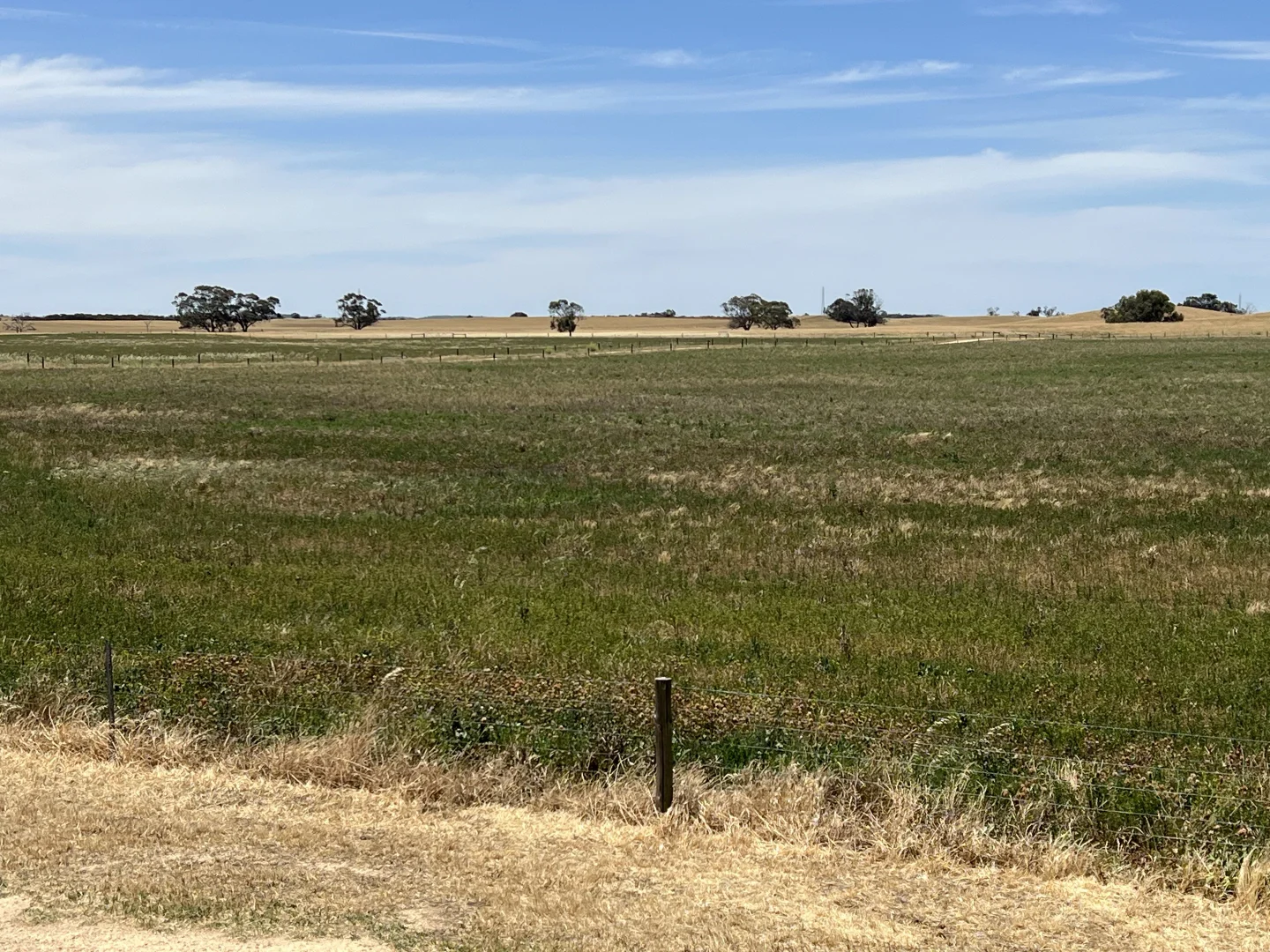 Additional image 3 of 485 Freak Road, Coonalpyn SA 5265