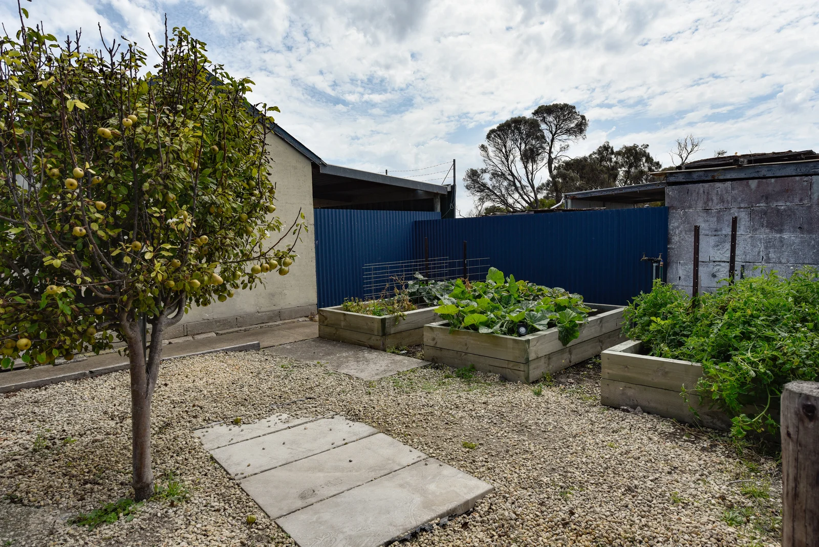 Additional image 26 of 38 Dingley Dell Road, Port Macdonnell SA 5291
