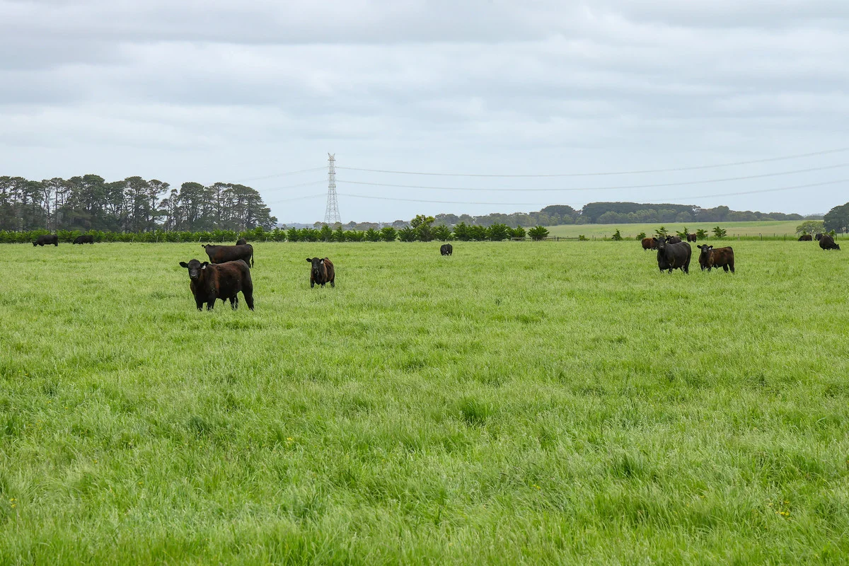 Additional image 27 of 'Laguna' 495 Camerons Road, Woolsthorpe VIC 3276