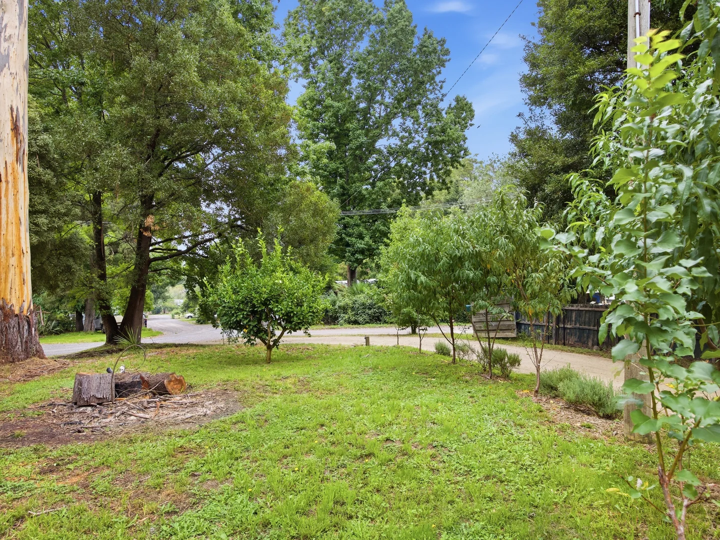 Additional image 16 of 57 Wonga Road, Millgrove VIC 3799