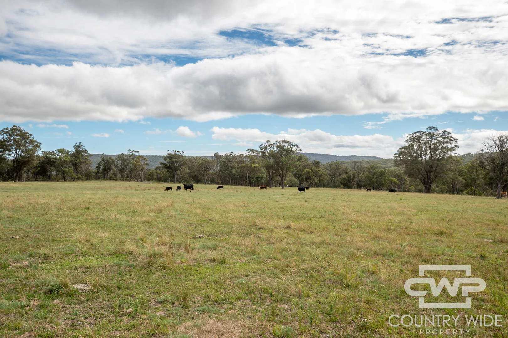 Additional image 17 of 618 Coopers Road, Red Range NSW 2370
