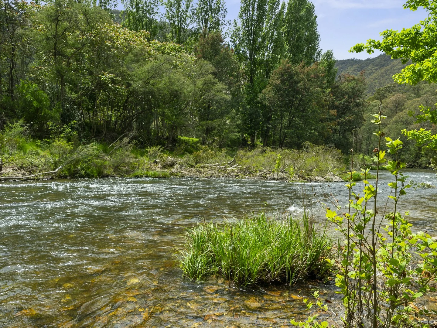 Additional image 17 of 4124 Mansfield-Woods Point Road, Jamieson VIC 3723