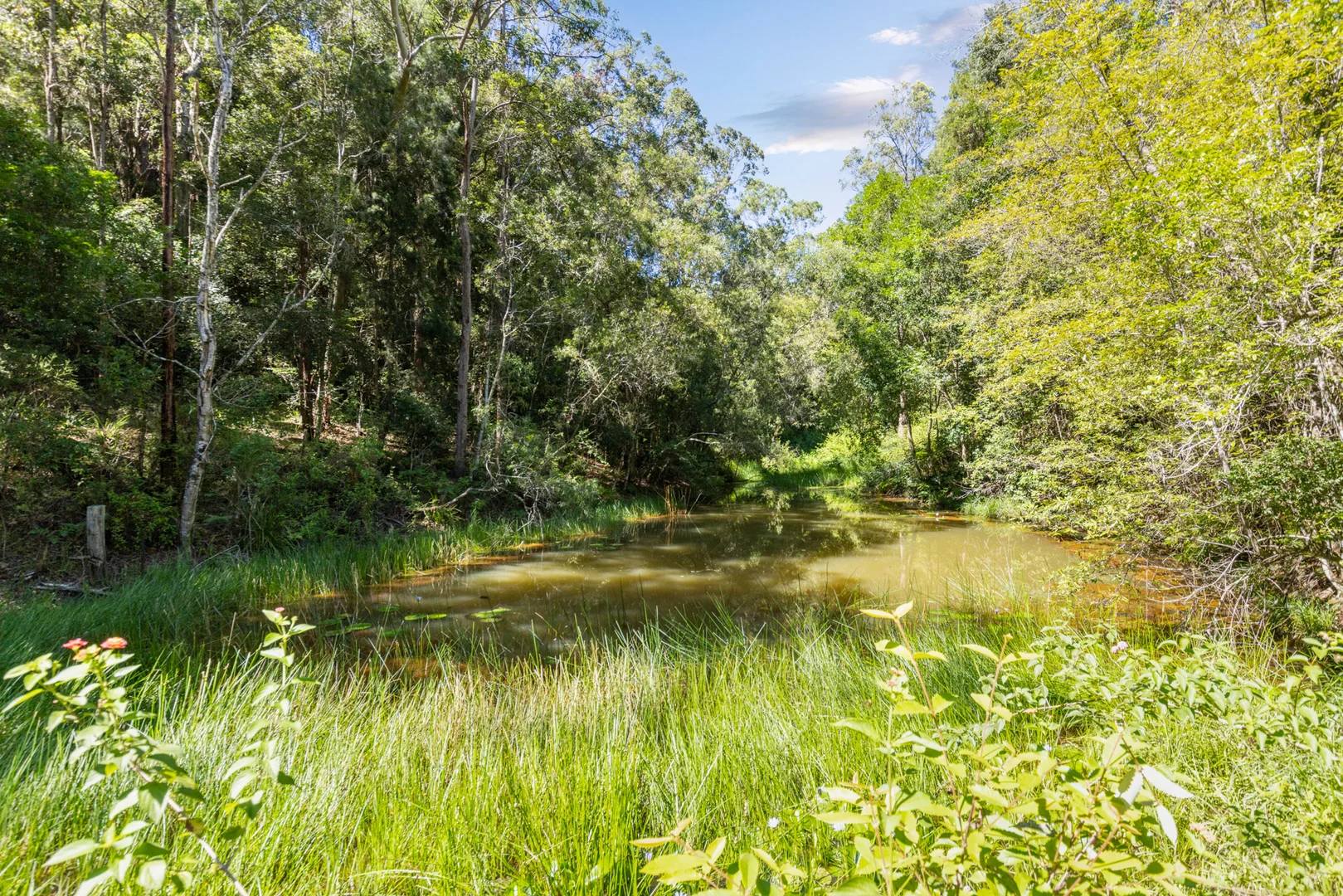 Additional image 10 of 141 Martells Road, Bellingen NSW 2454