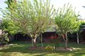 Additional image 33 of 17620 Grand Prix Way, Morgan Hill, CA, 95037
