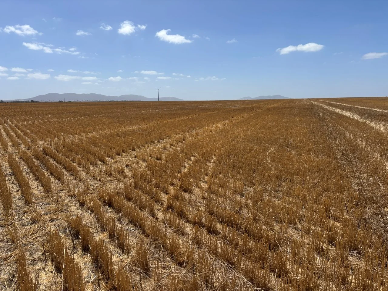 Additional image 4 of 205 Settlers Road, Wangary SA 5607