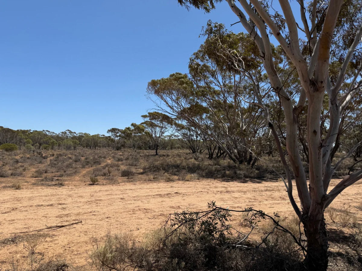 Additional image 33 of Lot 49 Moorundie Road (access via Mallee Acres Road), Fisher SA 5354