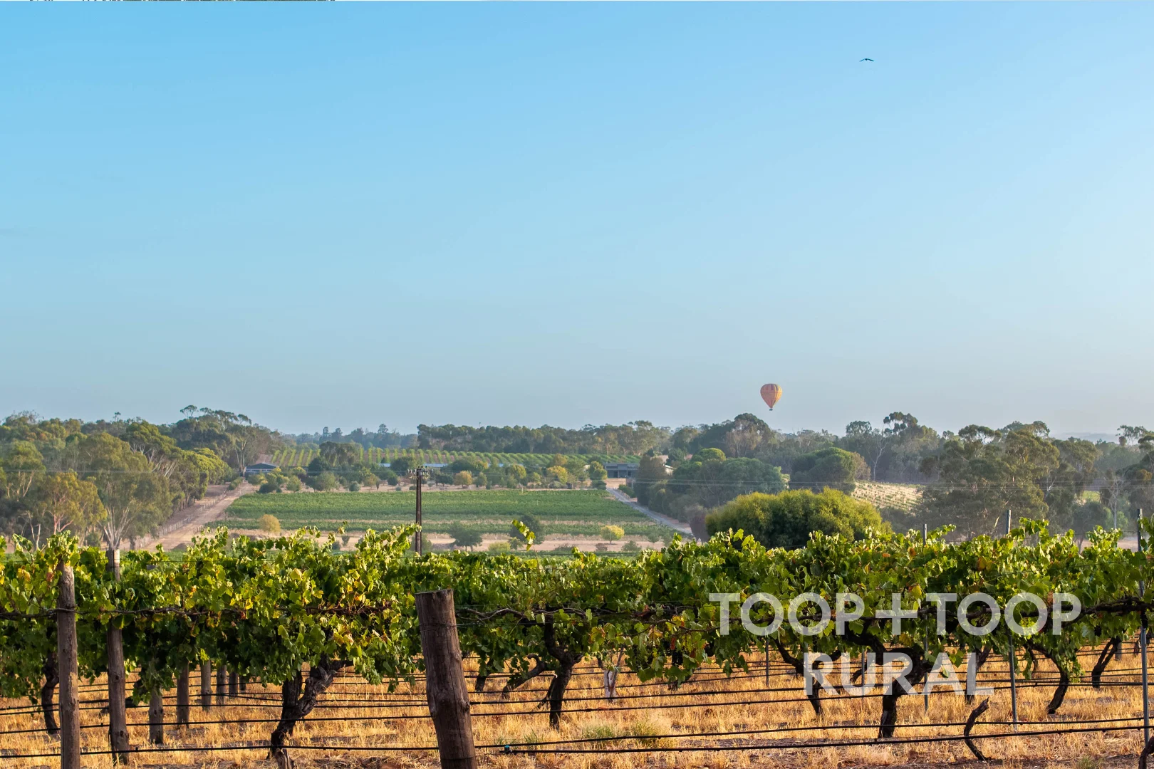 Additional image 40 of 145 Tolley Road, Nuriootpa SA 5355