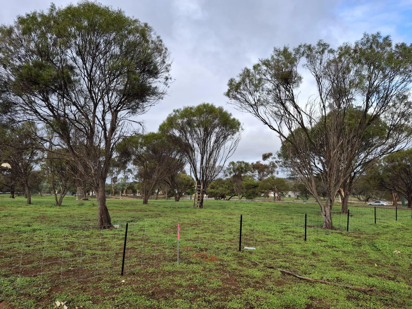 Additional image 6 of 6 Gratte Street, Northam WA 6401