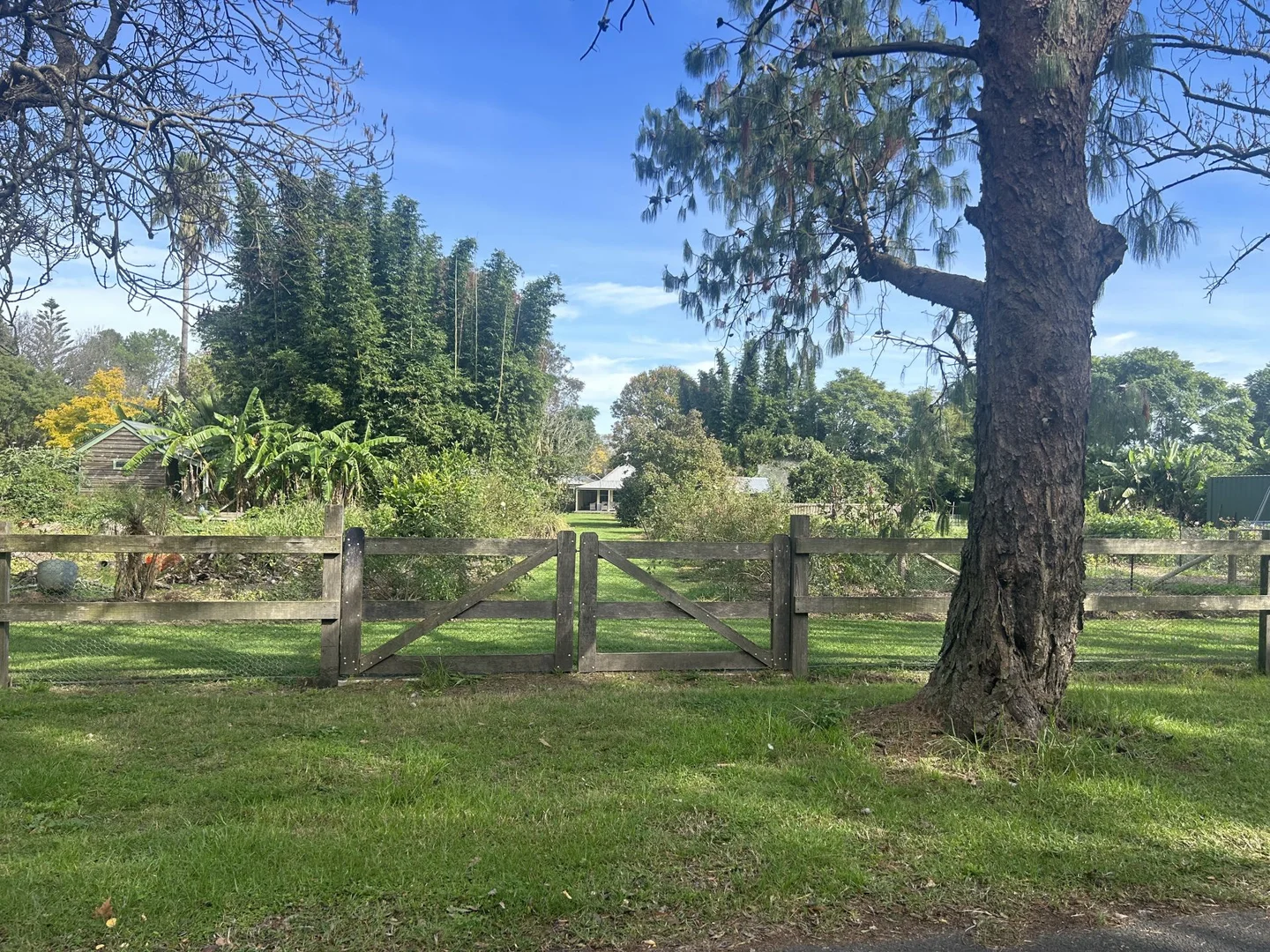 Additional image 34 of 6 Holme Street, Terara NSW 2540