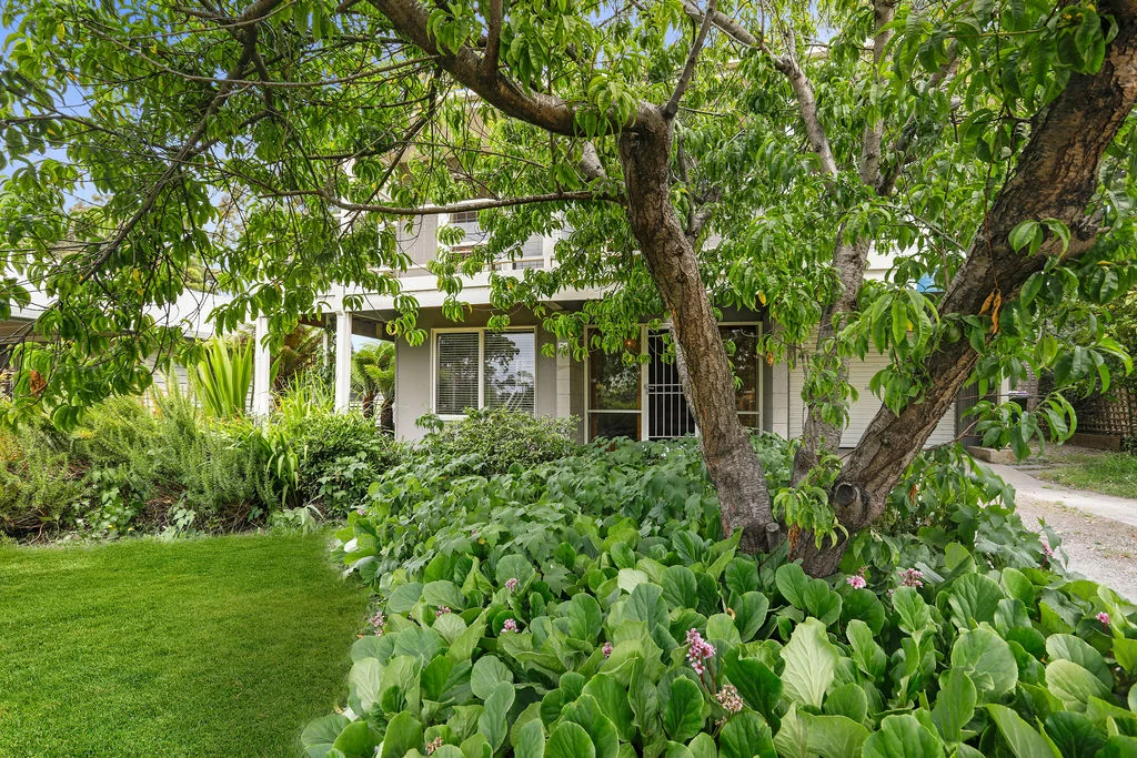 Additional image 31 of 24 Point Avenue, Skenes Creek VIC 3233