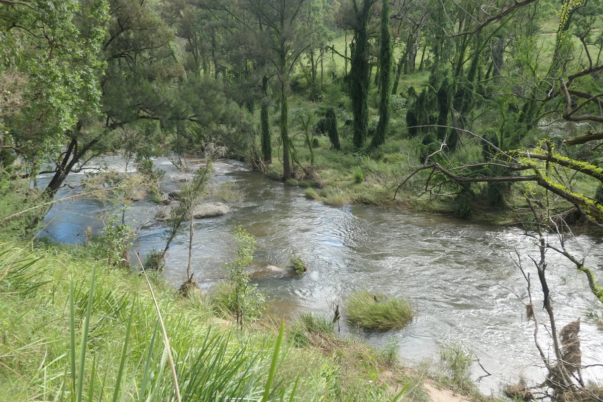 Additional image 10 of 3501b Rocky River Road, Rocky River NSW 2372