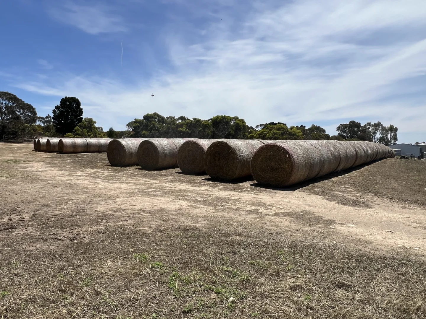 Additional image 9 of 485 Freak Road, Coonalpyn SA 5265