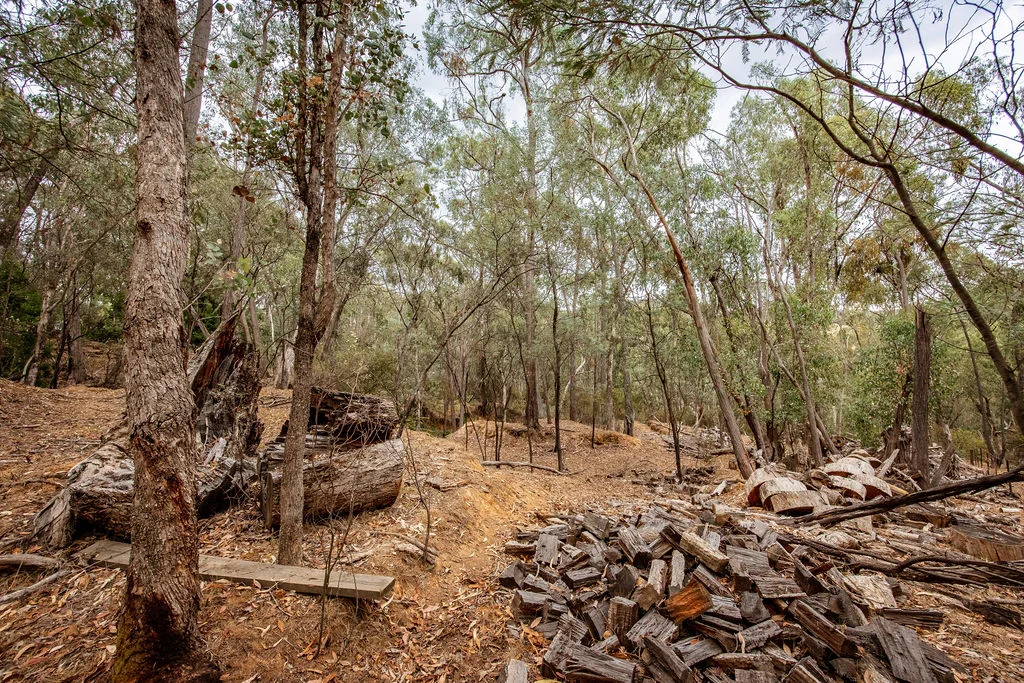 Additional image 33 of 22 Crystal Creek Lane, Yackandandah VIC 3749