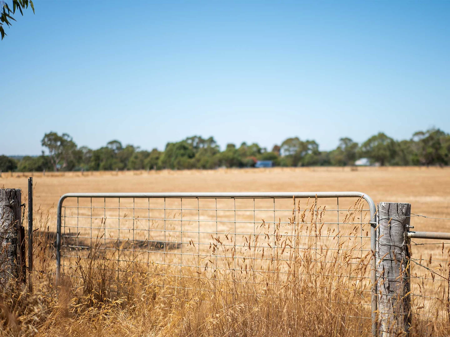 Additional image 10 of 42 Beveridges Road, Hamilton VIC 3300