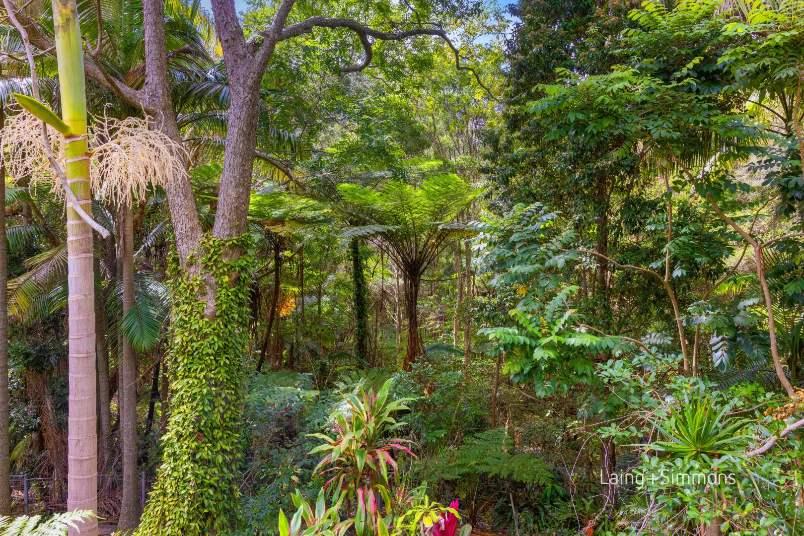 Additional image 14 of 21 Hassall Street, Port Macquarie NSW 2444