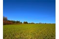 Additional image 15 of Graffenburg Rd, Frankfort, NY, 13340