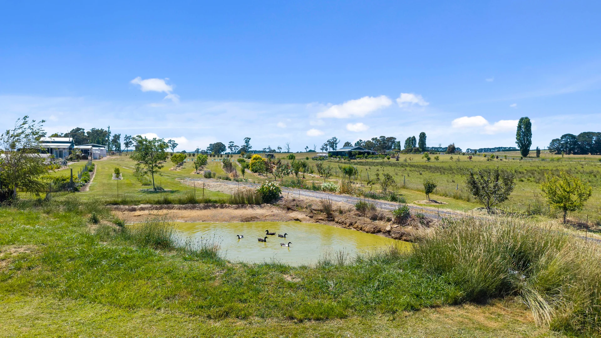 Additional image 12 of 68 Humphries drive, Oberon NSW 2787