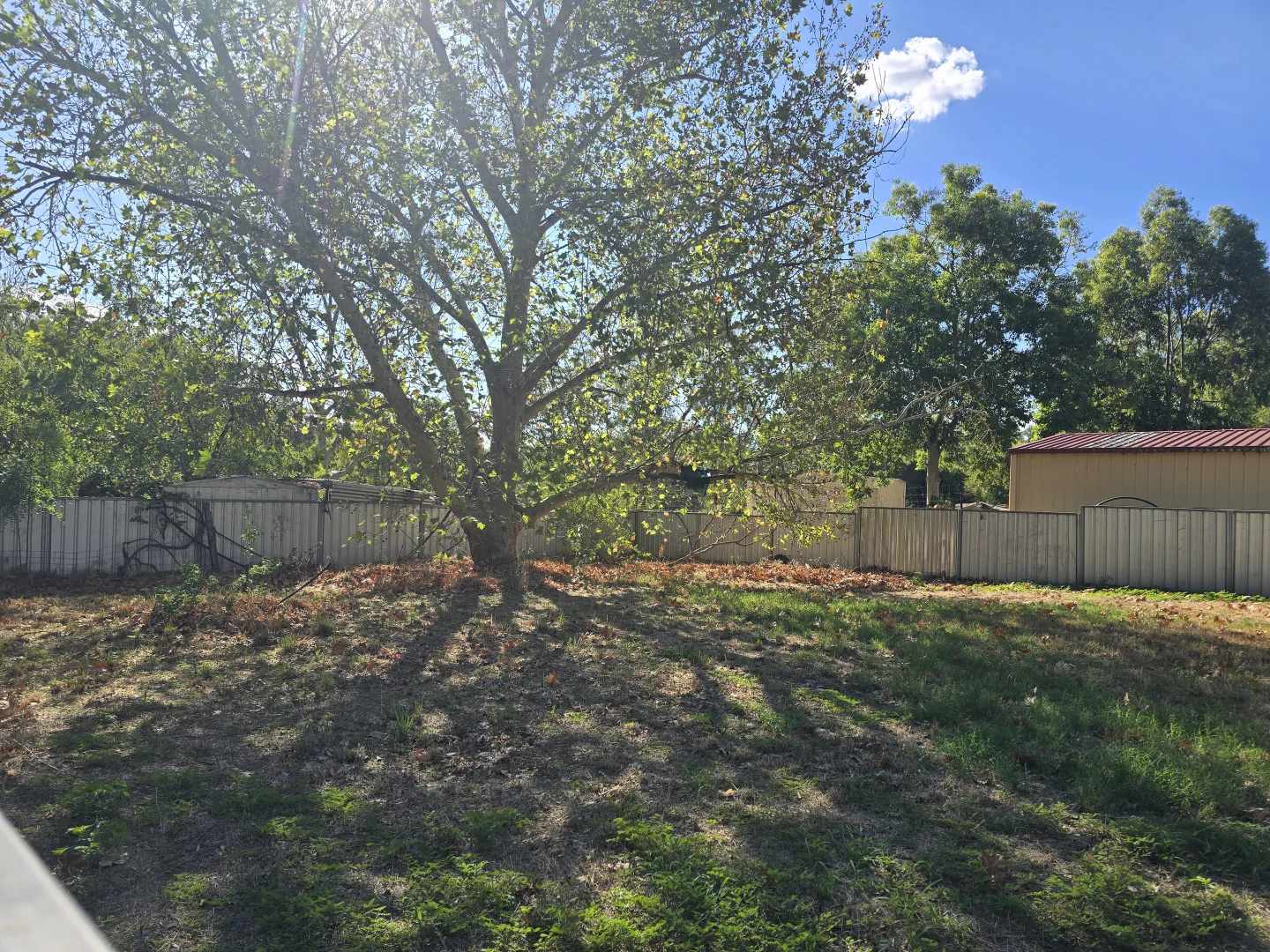 Additional image 17 of 9 Graf Street, Condobolin NSW 2877