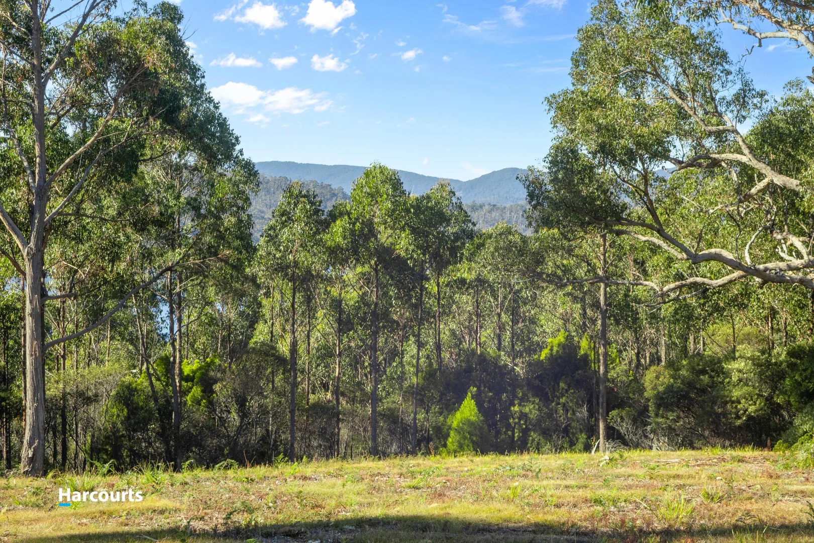 Additional image 22 of 15 Stella Court, Surges Bay TAS 7116