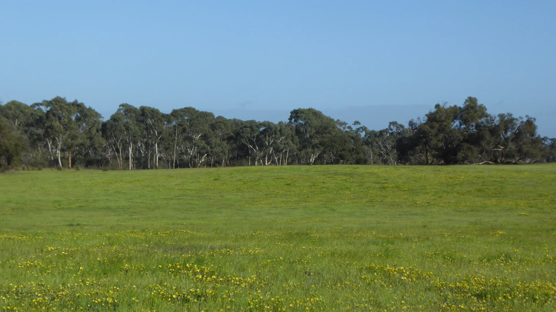 Additional image 8 of 2448 Bangham Road, Frances SA 5262