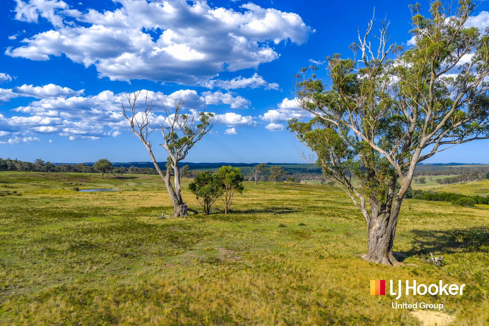 Additional image 2 of 276 Nandi Road, Wingello NSW 2579