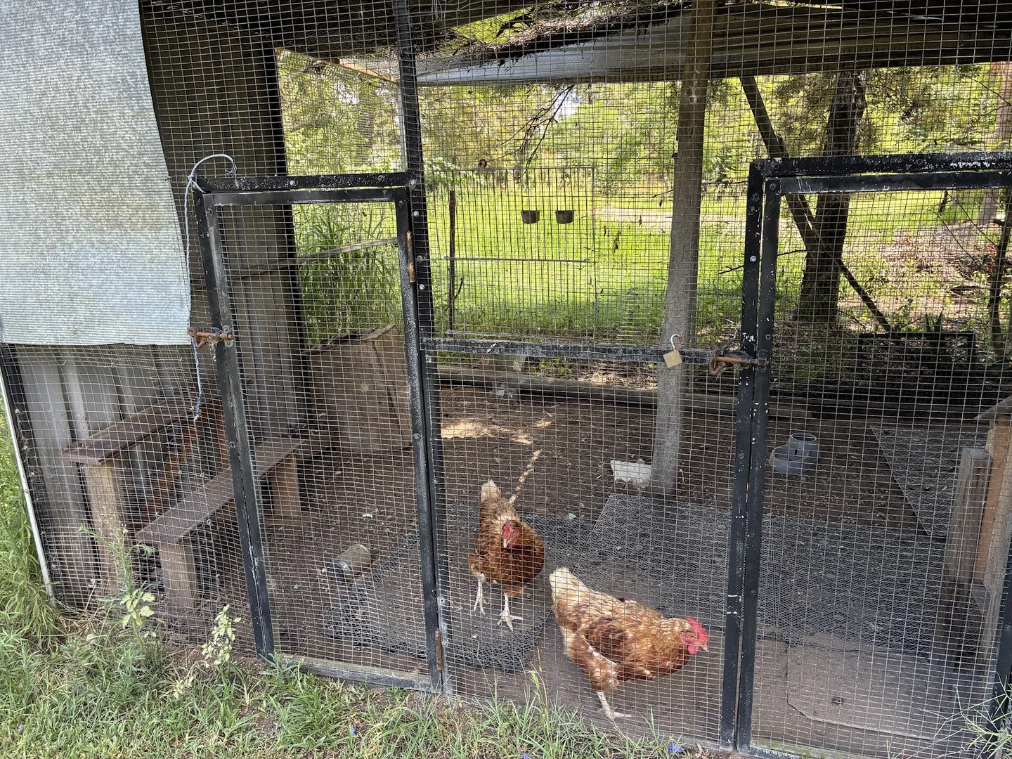 Additional image 28 of 8 Walter Court, Glenore Grove QLD 4342