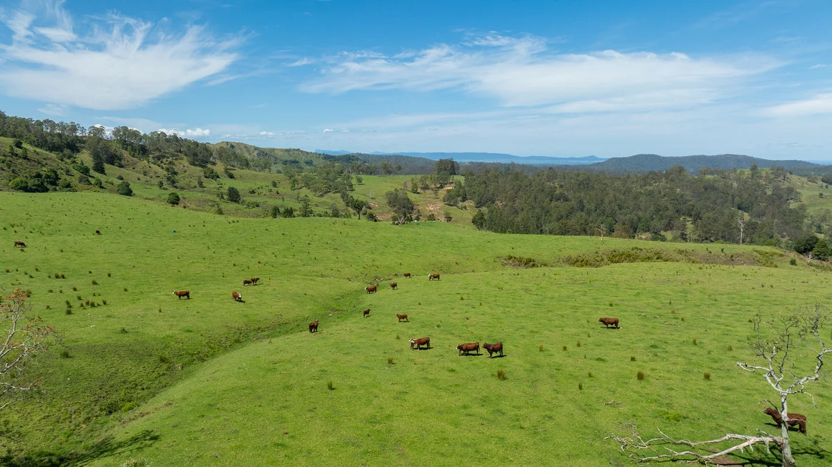 Additional image 27 of Bingeebeebra Creek, Mummulgum NSW 2469