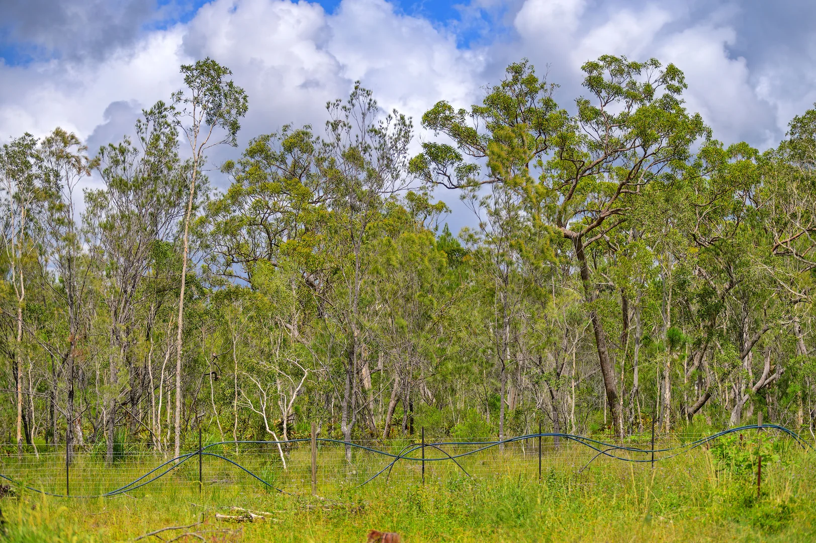 Additional image 16 of 47 Osborne Court, Wallu QLD 4570