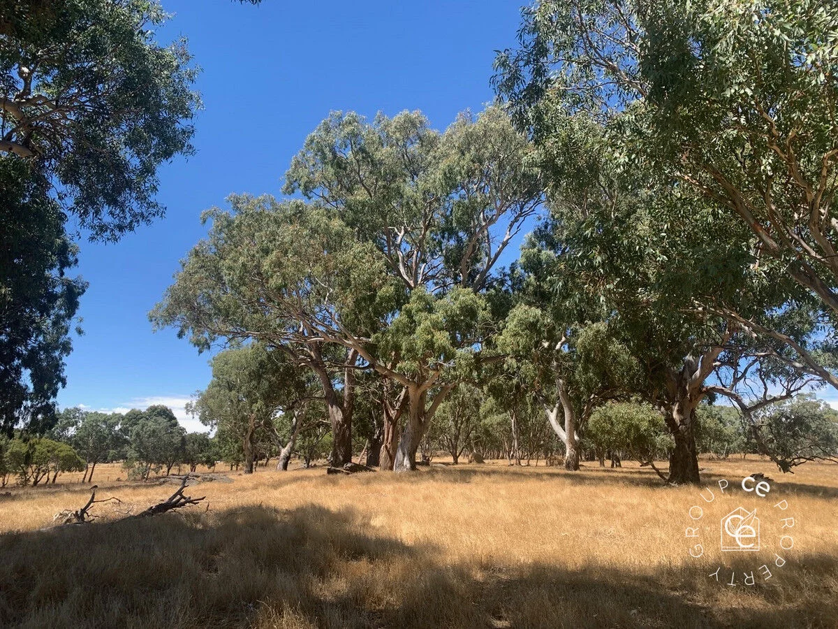 Additional image 20 of 696 Fromm Road, Mount Pleasant SA 5235