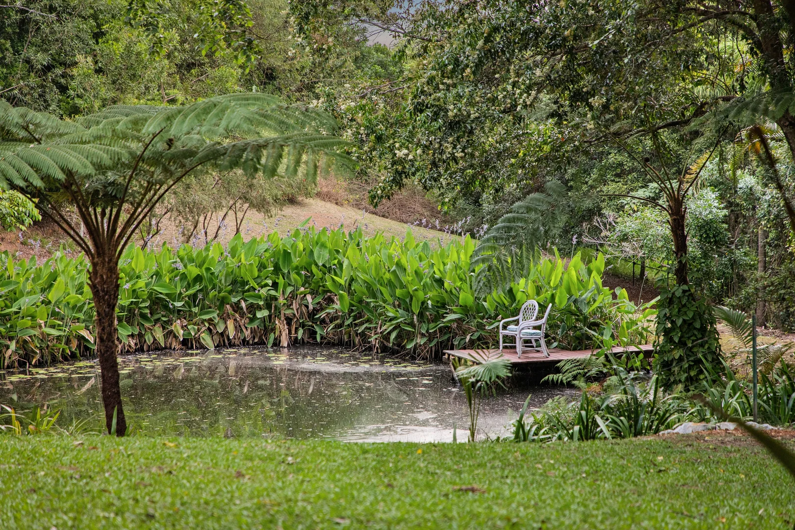 Additional image 20 of 196 Nandroya Road, Cooroy QLD 4563