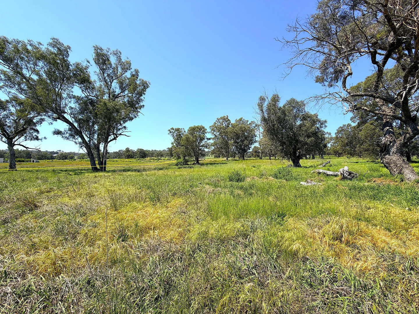 Additional image 7 of 40 Merriwa Road, Willow Tree NSW 2339