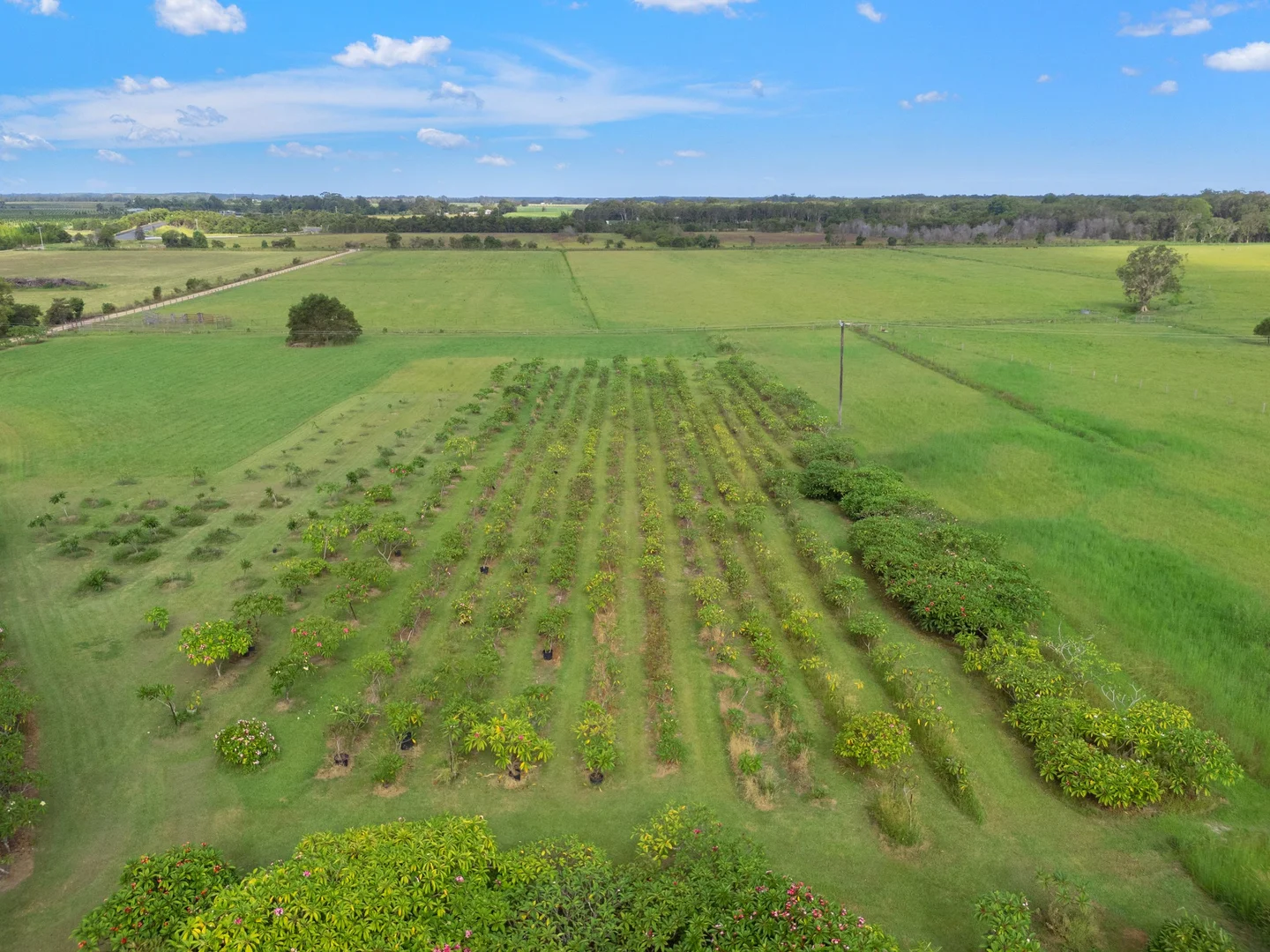 Additional image 30 of 16 Sartories Road, Pimlico NSW 2478