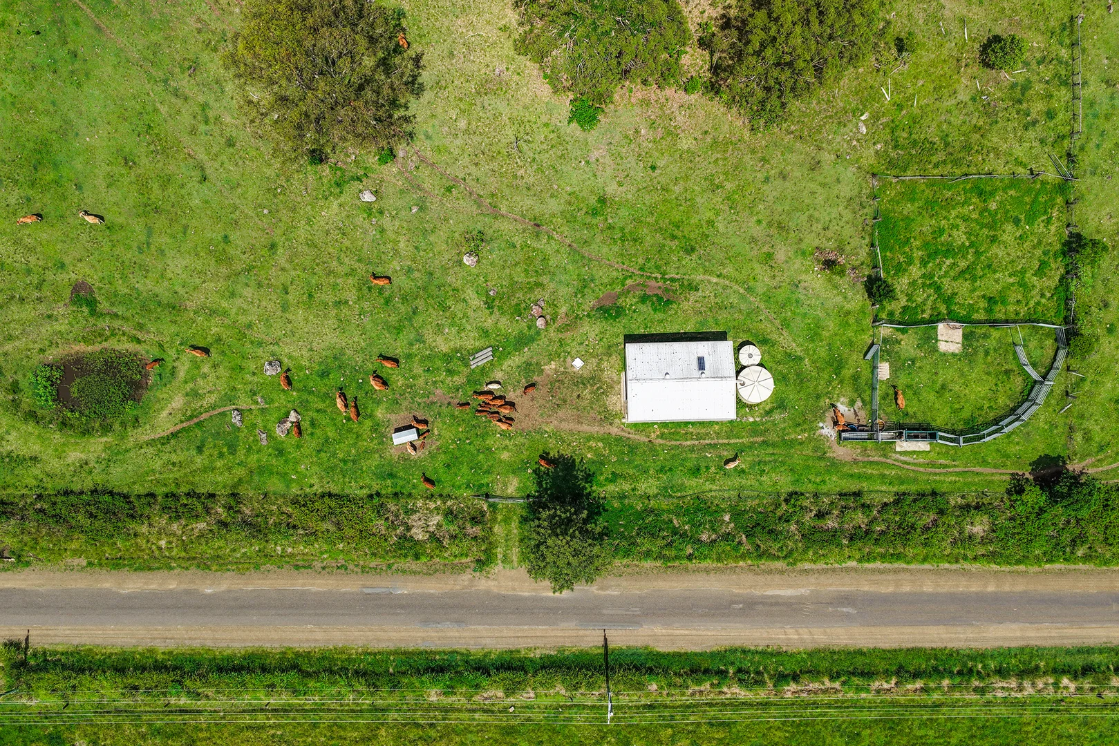 Additional image 23 of 248 Illinbah Road, Illinbah QLD 4275