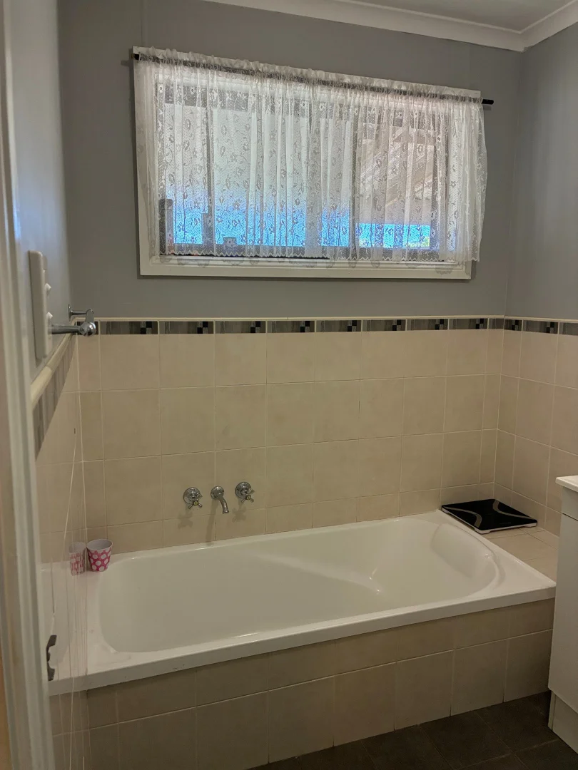 Additional image 16 of 3 Railway street, Binnaway NSW 2395