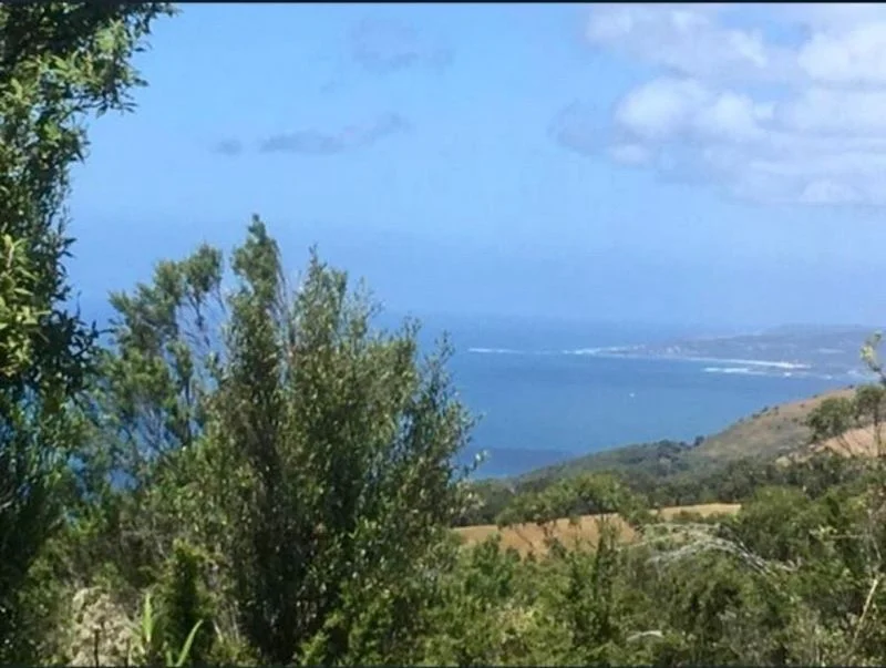 340 Sunnyside Road, Wongarra VIC 3234