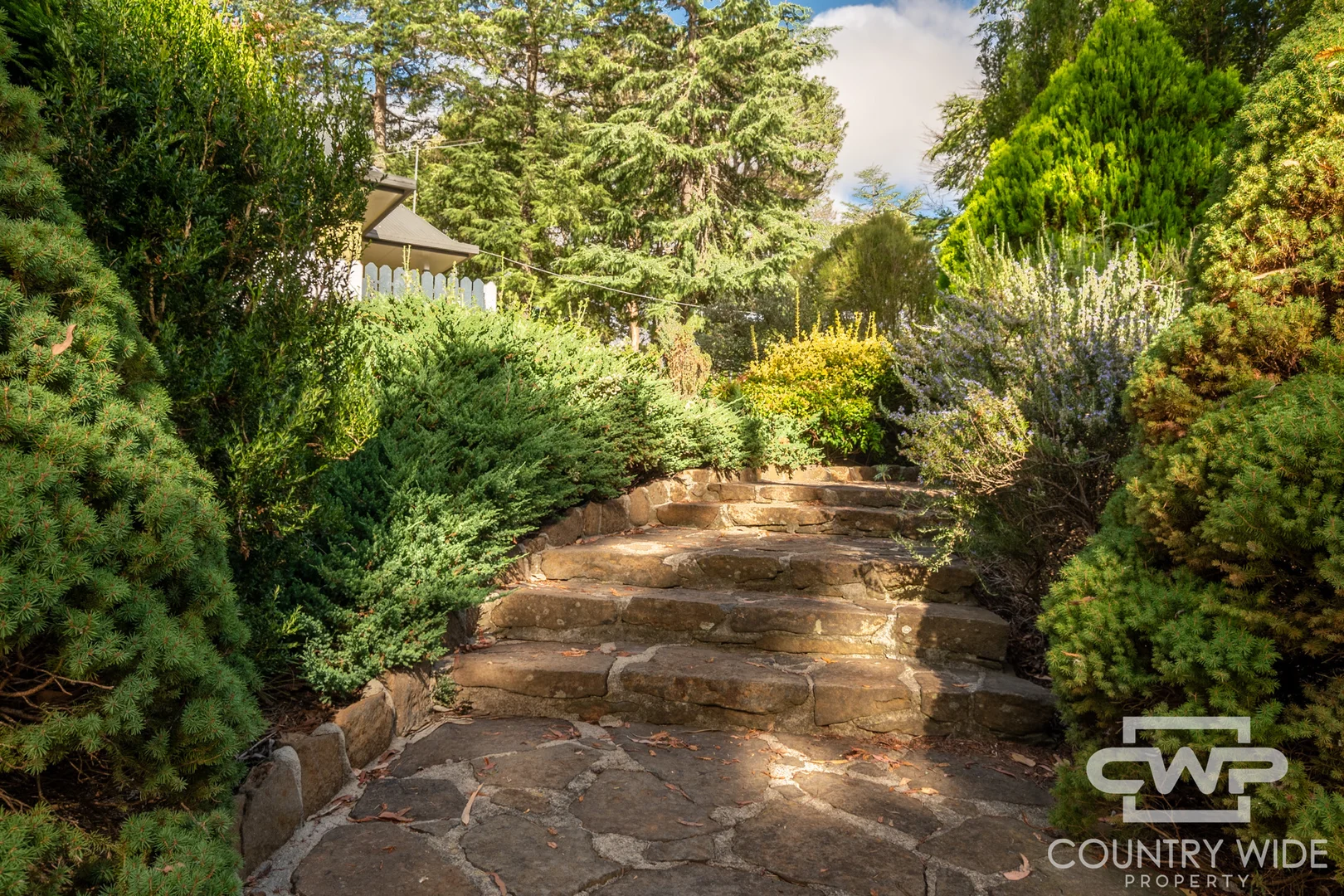 Additional image 21 of 169 Macquarie, Glen Innes NSW 2370