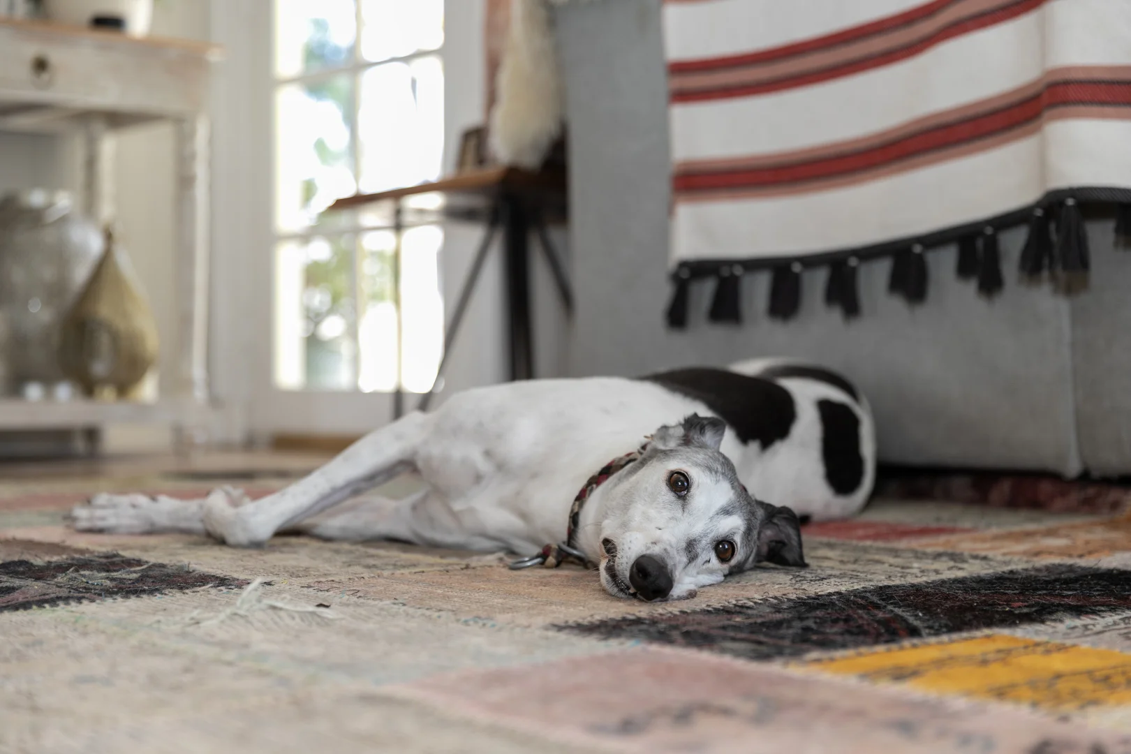 Additional image 24 of 79 Blackberry Lane, Haddon VIC 3351