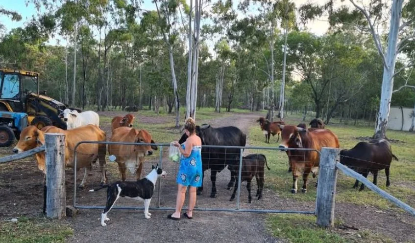 Additional image 9 of 136 Oyster Creek Road, Oyster Creek QLD 4674