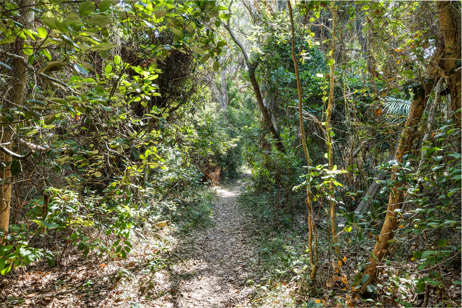 Additional image 12 of 2/22 Hutcheson Street, Hat Head NSW 2440